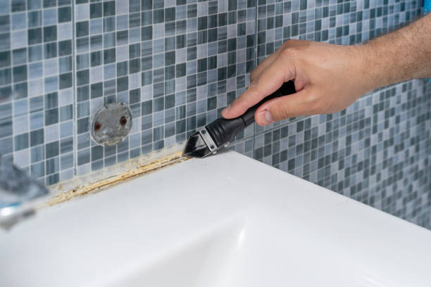 Best Mold Removal Near Me  in Fountain Valley, CA